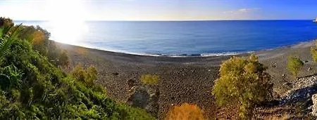 Mare