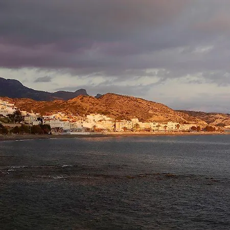 Mare